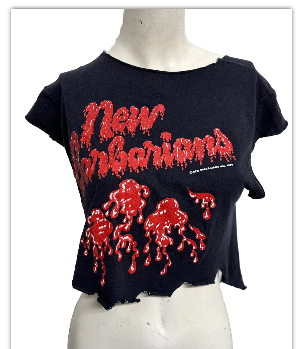 ヴィンテージ ロン・ウッド ロニー ウッドRon Wood Tシャツ ロックT