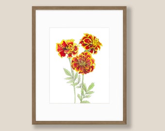 Watercolor Marigold Painting, Original Art Print, October Birth Month Flower, Botanical Painting, Gifts for her, Floral Wall Art, Home Decor