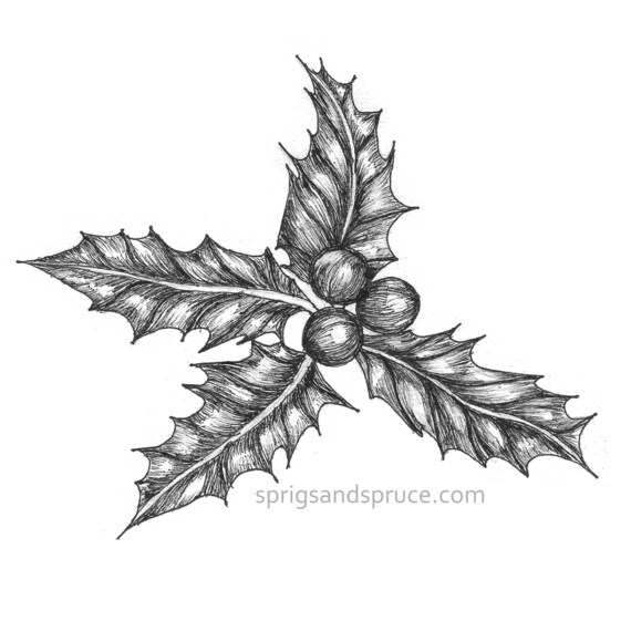 Holly Sprig Ink Drawing, Digital Download, Christmas Holly Art, Botanical  Wall Decor, Christmas Decoration, Holiday Decor, Seasonal Art - Etsy