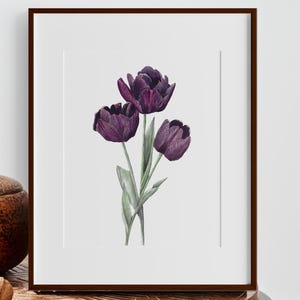 Watercolor Tulip Painting for Wall Art Home Decor Gifts for Her, Housewarming Gift under 30 Hand Painted Flower Art Print Present for Mom