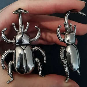 Silvercolored Beetle Earweights ab 25 Euro