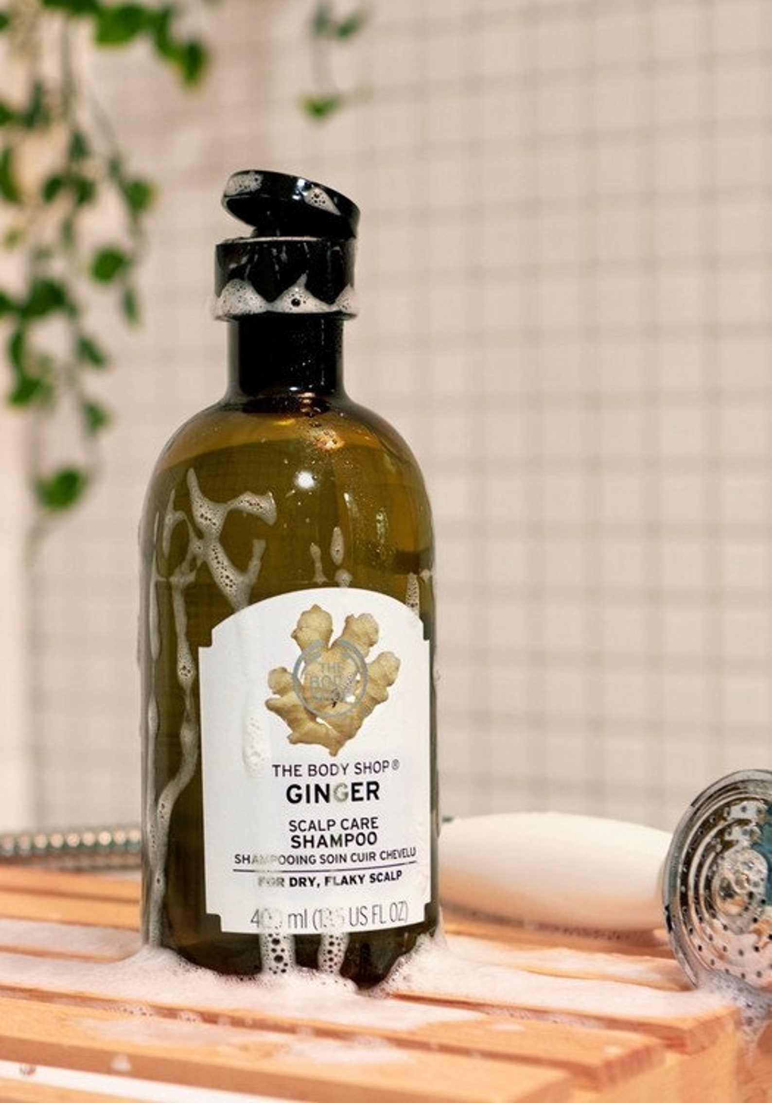 The Body Shop Ginger Scalp Care Shampoo 400 ml for dry FLAKY | Etsy