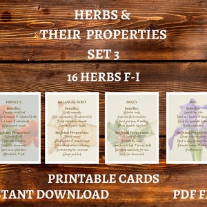 Set 3, Herb Information Cards, Instant Download, Witchcraft Herb Cards, Herb Printables, Herb Reference Cards, Witchcraft Guide