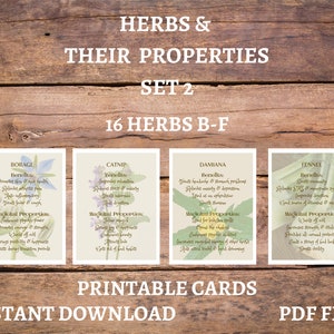 Set 2, Herb Information Cards, Witchcraft Herb Cards, Witchcraft Resources, Printable Herb Cards, Instant Download Herb Prints