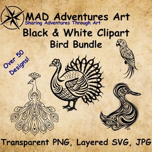 50+ zwart-witte vogelsbundel met prachtige ontwerpen - png, svg, jpg - vogelclipart - gebruik in je ontwerpen, voor kleurboeken, gravures, enz.!