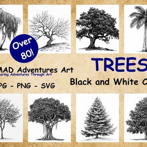 May include: A collection of eight black and white illustrations of different types of trees. The illustrations are drawn in a realistic style and include a palm tree, a weeping willow, an oak tree, and a pine tree. The text "TREES Black and White Clipart" is at the bottom of the image.