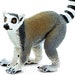 see more listings in the Safari Wildlife Figures section