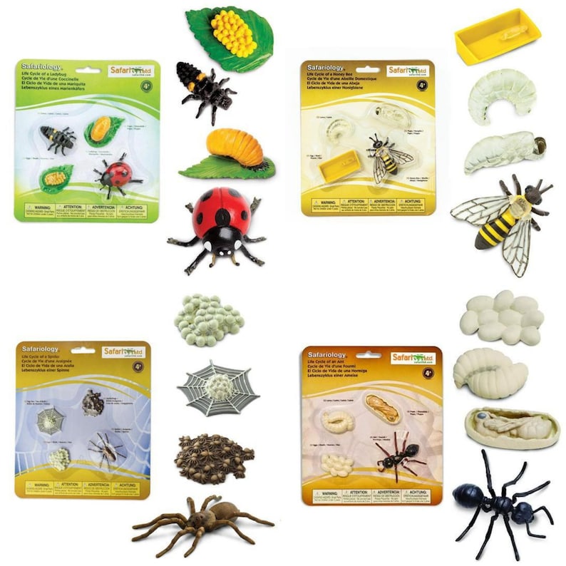 Life Cycle of an Ant Figurine Homeschool Learning Tool Home Education Matching Childrens Activity Toy Montessori School Safari Ltd Insect
