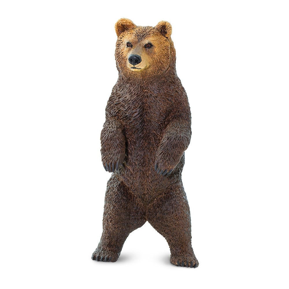 Bear plastic sales