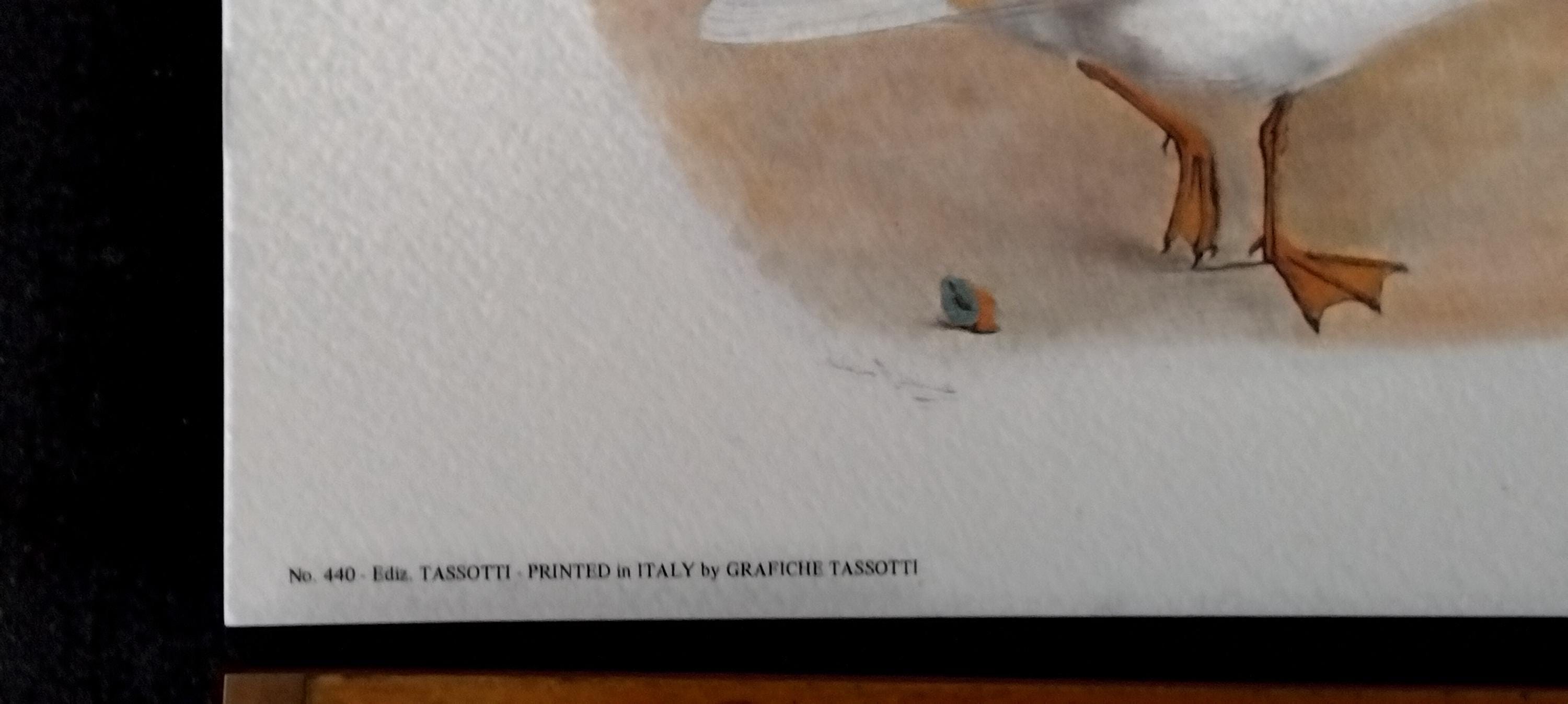 Vintage Prints Set of 4 Printed in Italy by Grafiche Tassotti - Etsy