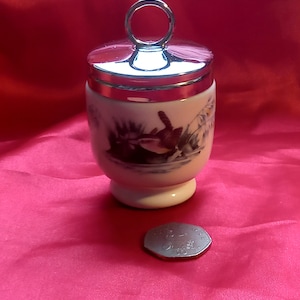Coddler de ovo vintage Royal Worcester em bom estado, famoso de um lado e pássaros azuis do outro, é muito colecionável