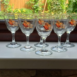 Set 6 drinking glasses with male Pheasant,shooting glasses with male Pheasant, vintage drinking glasses with Pheasant, 6 drinking glasses