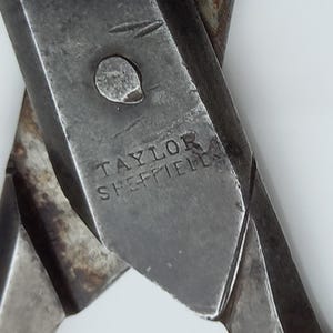 Antico paio di forbici Taylor Eye Witness in buone condizioni usate, primi anni del 1800, qualità e design eccellenti, probabilmente non servono punti per tagliare la carta