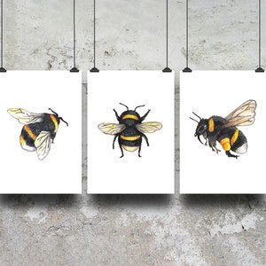 Set of 3 Bee Prints - Bee Wall Art Print - Bumblebee Watercolour Painting - Bee Home Decor - Unframed Bee Illustrations - Bee Birthday Gift