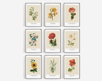 Floral Art Prints / Unframed Wall Art / Peony / Sunflower / Daisy / Forget-me-not / Garden Lover Gifts / Floral Botanical Decor