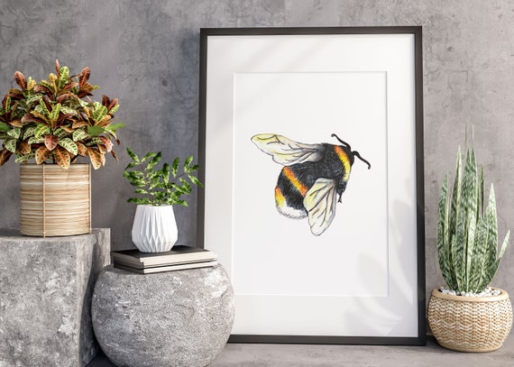 Bumble Bee available as Framed Prints, Photos, Wall Art and Photo Gifts