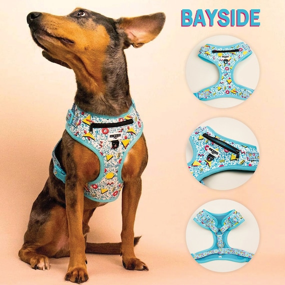 Saved by the Bell bayside Retro Print Adjustable No pull Dog