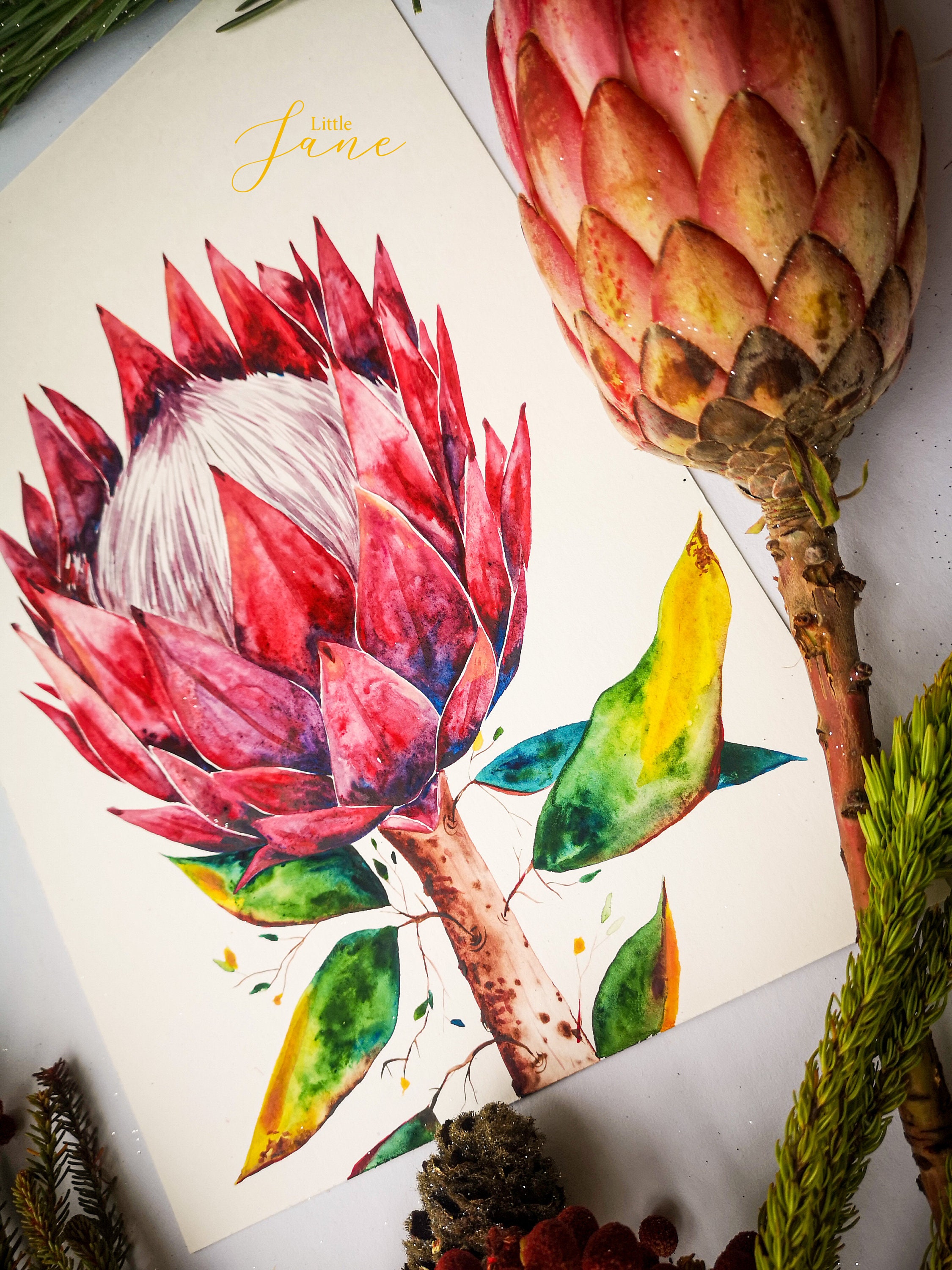 Art Print Terracotta King Protea - TypoFlora