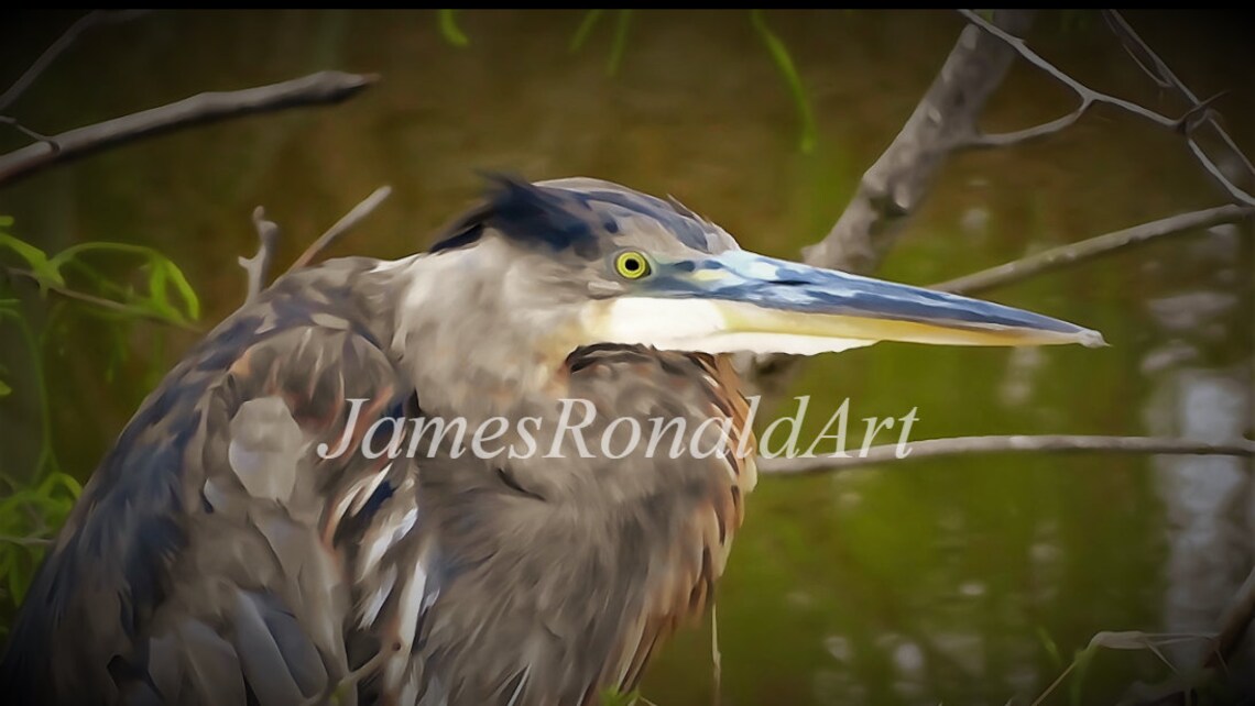 prehistoric-great-heron-print-fine-art-photograph-in-watercolor