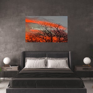 Scarlet Tree - Print; Phograph; Wall Art; Sunset; Tree