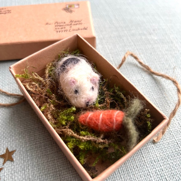 Gefilztes miniatur Meerschweinchen in Box Post Spielzeug Kinder Tier