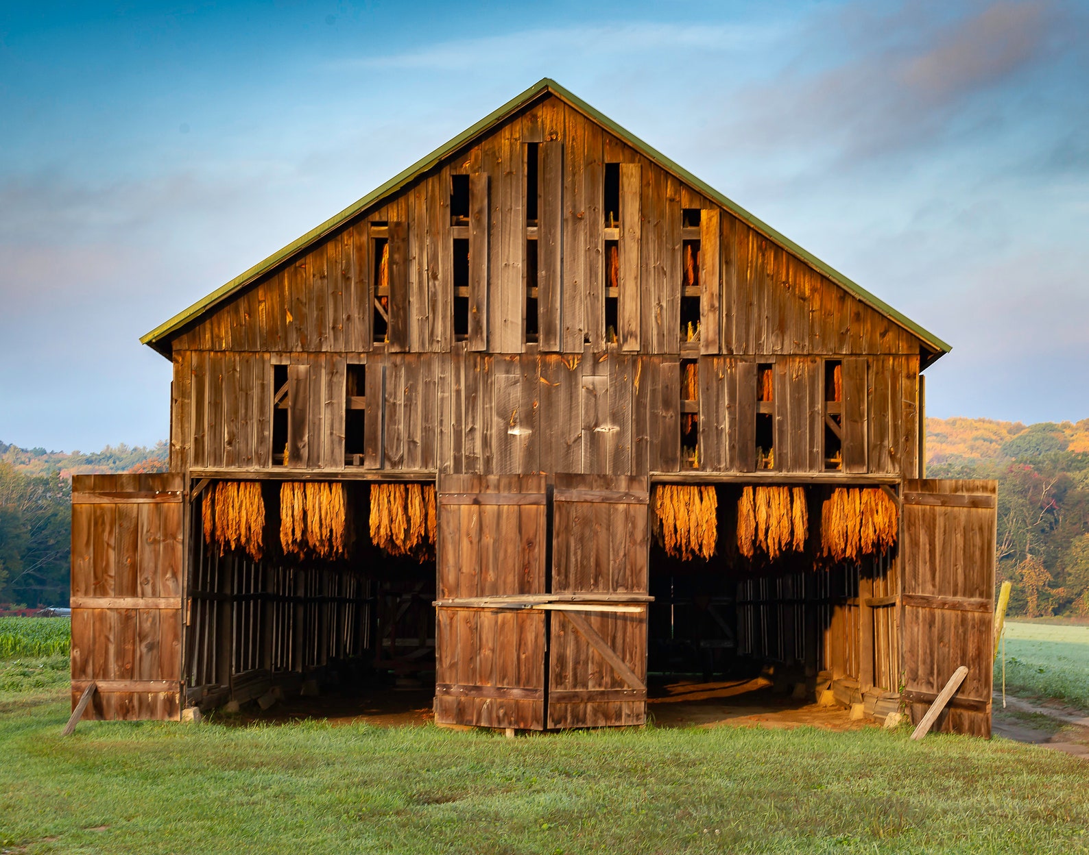 Tobacco Barnphoto Etsy