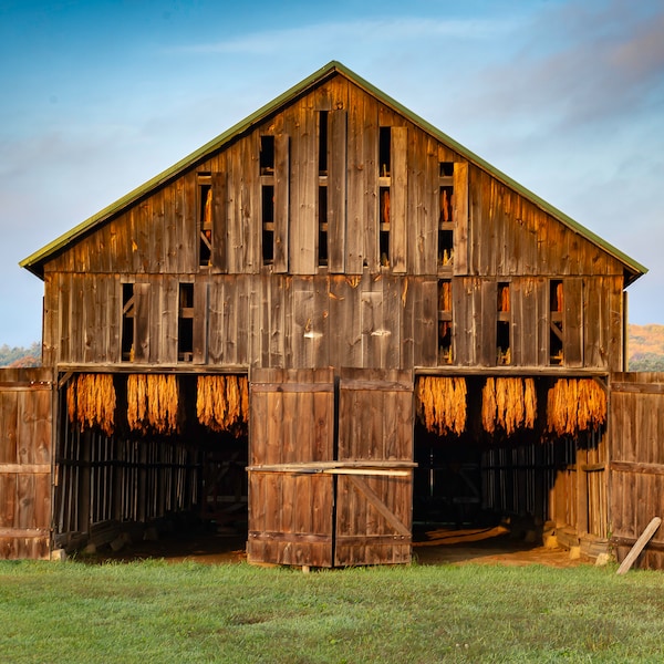 Tobacco Barn(photo)