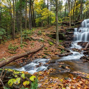 Gunn Brook Waterfall(photo)