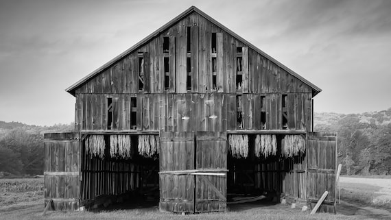 tobacco barn france Tobacco Barn B+W(photo)