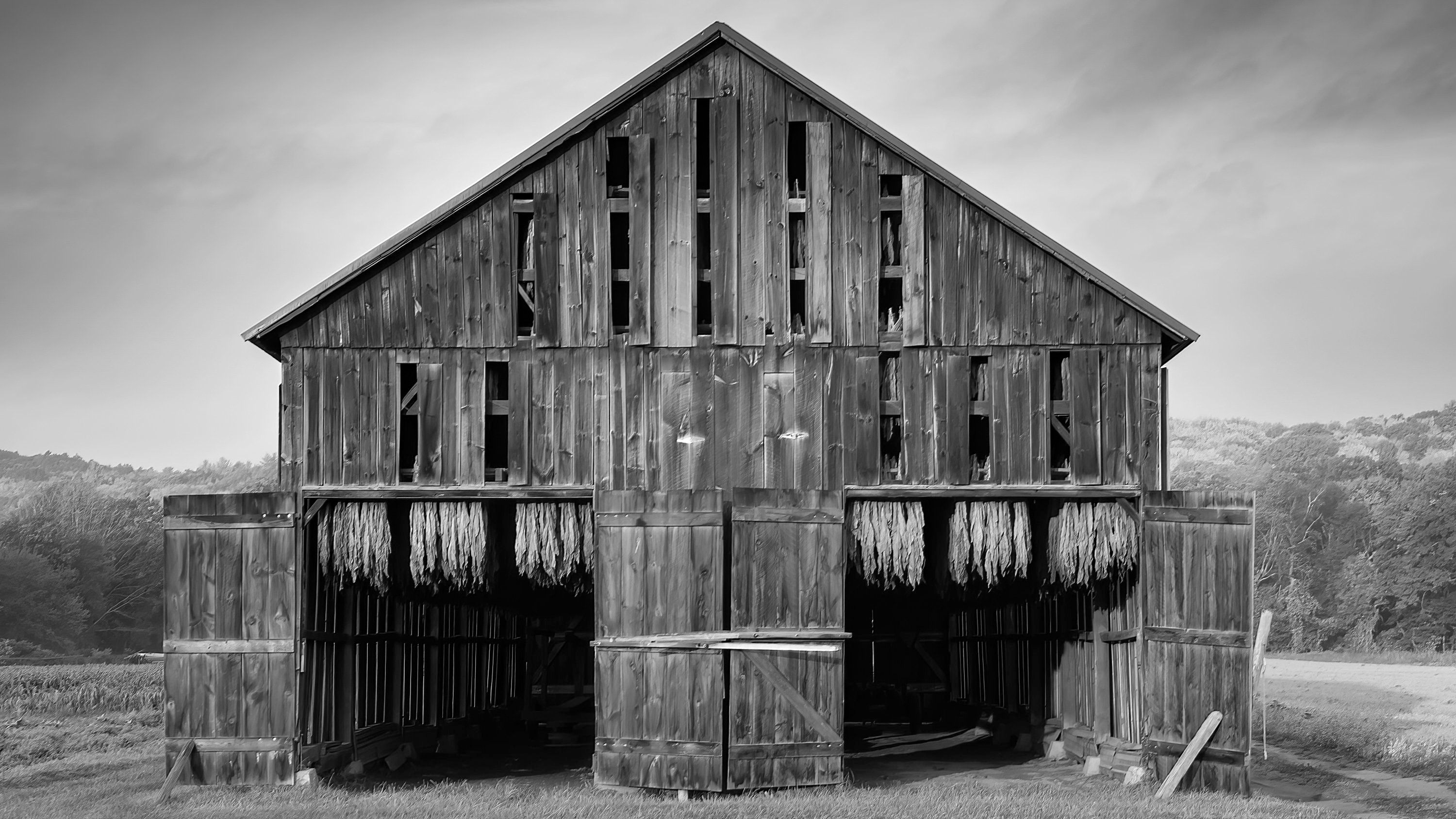 tobacco barn menu prices Tobacco Barn B+W(photo)