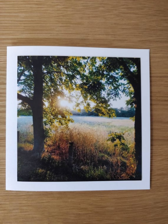 letter writing Sunrise Fall Colors healing nature photography Autumn mountain landscape photography Blank Greeting Cards