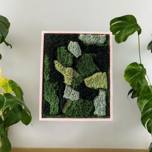 Handmade moss picture made of wool with wooden frame. Sustainable wall decoration natural art. Botanical Wall Art. Green Eco Home Decor Gift Idea