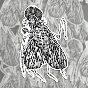 Creepy Skeleton Fly Sticker: Gore Insect Vinyl Decal