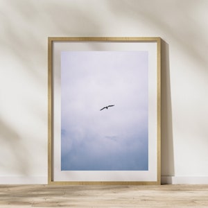 Bird flying in the sky - Real Photo minimalist Wall Art Decoration Original photography Prints Home Room office kitchen Hotel Decor gift