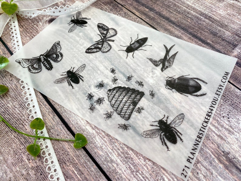 Vellum Paper Theme Vintage Wild Live Insects Bugs Fly Etsy
