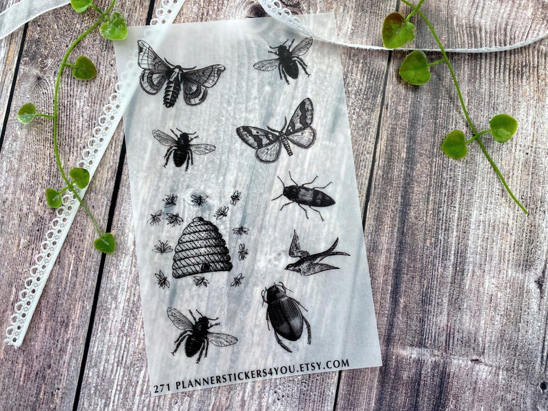 Vellum Paper Theme Vintage Wild Live Insects Bugs Fly Etsy
