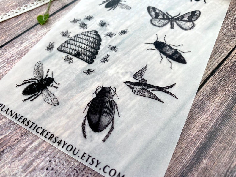 Vellum Paper Theme Vintage Wild Live Insects Bugs Fly Etsy