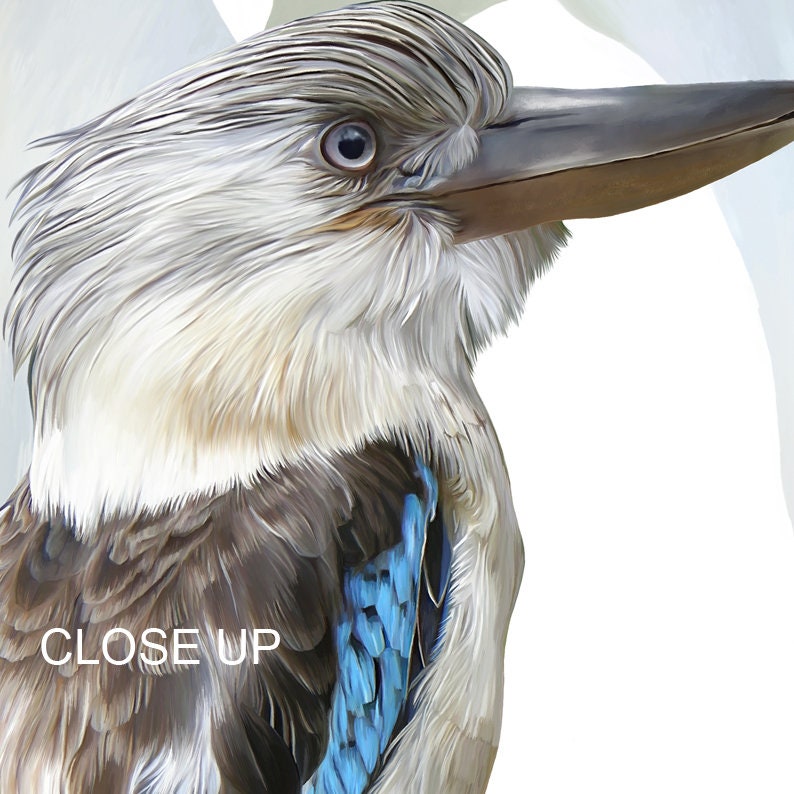 Kookaburra PRINTABLE Wall Art Digital Download Blue Etsy