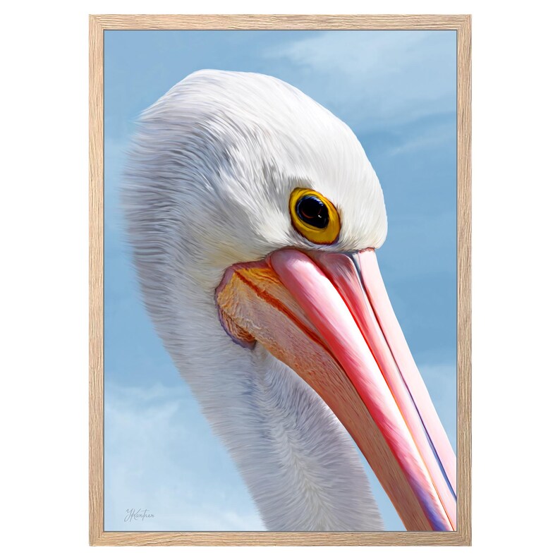 Pelican Art Print: Australian Bird Painting, Nature Wall Decor - Etsy ...