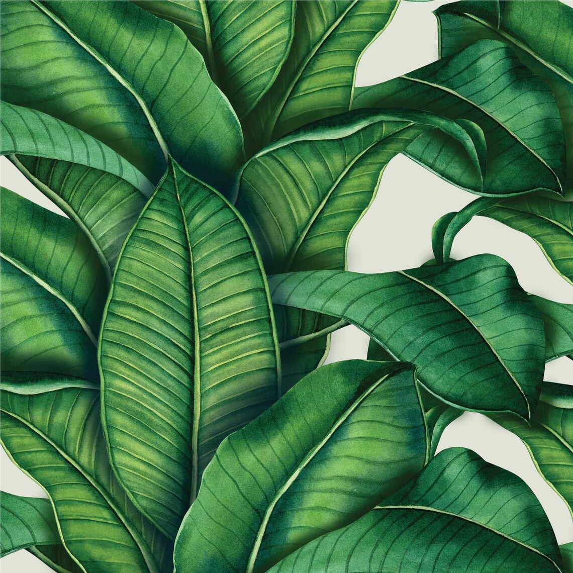 Banana Leaf Peel and Stick Wallpaper / Removable Wallpaper - Etsy