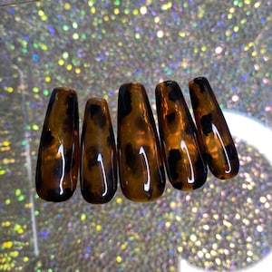 Könnte beinhalten: Satz mit sechs braunen und schwarzen Schildpatt-Press-on-Nägeln.