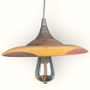 May include: A handcrafted wooden pendant light fixture. The light features a natural wood shade with a warm, amber hue and a dark brown, textured accent. The fixture includes a vintage-style Edison bulb and a metal canopy.
