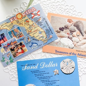 3 Vintage Florida/Strand Postkarten - Vintage Papier - Papier Ephemera - Journal Bedarf - Vintage Umschläge - Junk-Journal Versorgung - Strand