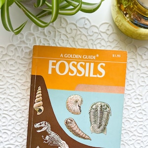 1962 - Fossils - A Golden Guide - Vintage Reference Book - Vintage illustrations - Science