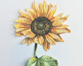 以下が含まれることがあります： 白い背景に、茶色の芯と緑の葉を持つ黄色のひまわり。