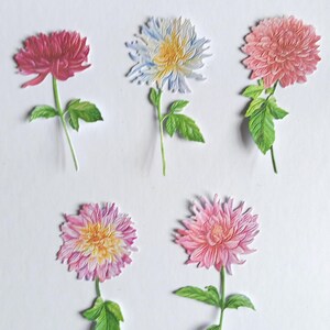 5 recortes de flores dálias coloridas, flores variadas recortadas em papel para scrapbooking, criação de cartões e diário, toppers para cartões