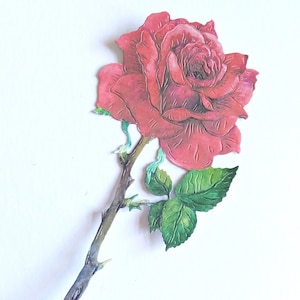 4 grote rode rozen die cuts, lange steel rozen kaart toppers voor Valentijnsdagkaarten, scrapbooking, romantische rode papieren bloem die cuts