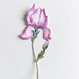 6 x roze en witte irisbloemstansen, hoge bloemuitsparingen voor scrapbooking, woondecoratie, ephemera en kaarten maken en journaling