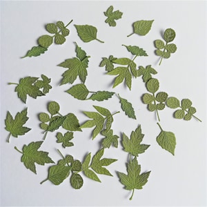 33 kleine grüne Blatt-Stanzteile, kleine Blätter, 3 Sets mit 11 grünen Blättern