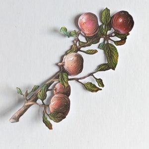 6 x zure patch gestanste appeltakjes, fruitkaartuitsnijdingen voor scrapbooking, journaling, receptenboeken, woondecoratie en kaarten maken